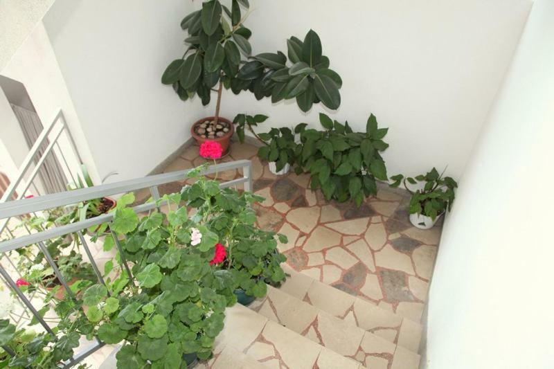 Apartments Villa Ravlic Makarska Luaran gambar
